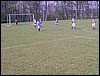 RIMG0260.JPG